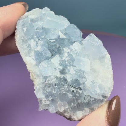 Celestite Small Cluster Geode