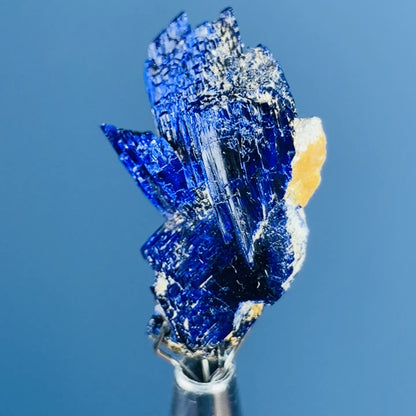 Grade A Gem Azurite Crystalline Cluster Mini Specimen (Video)