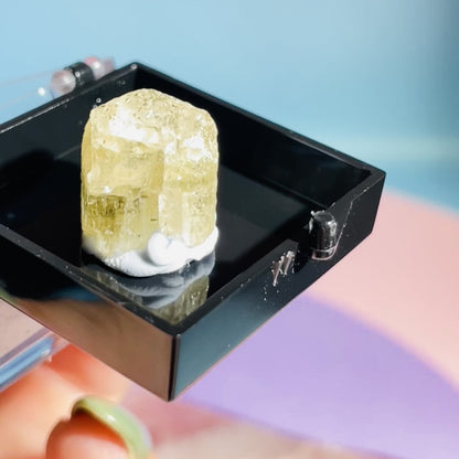 Yellow Scapolite Crystal Specimen in Box