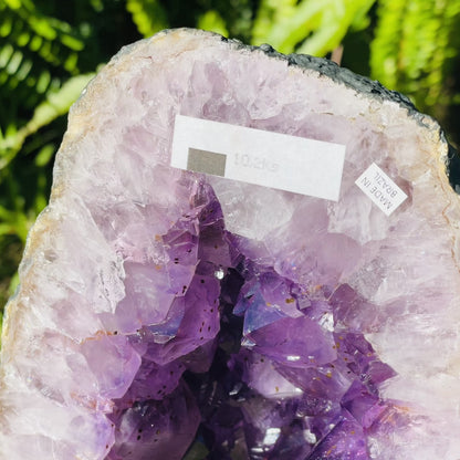 Amethyst Large Geode Cave (Video)