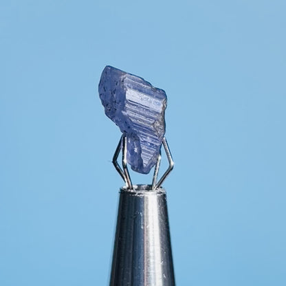 Tanzanite Mini Crystal in Specimen Pottle (Video)