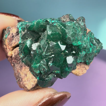 Rare Dioptase Cluster Specimen (Video)
