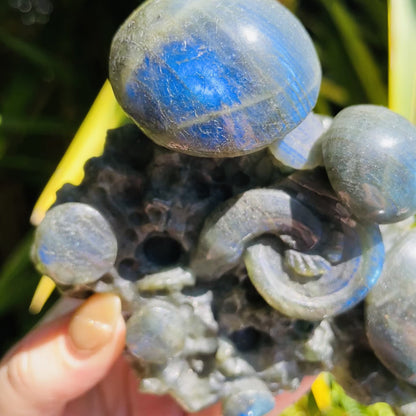 Labradorite Mushroom Troop Large Carving