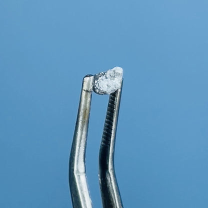 Salt & Pepper Diamond Tiny Crystal Specimen in Pottle (Video)