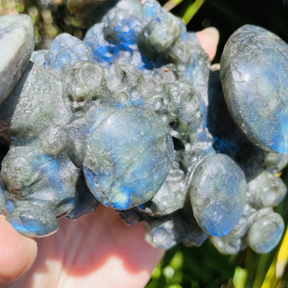 Labradorite Mushroom Troop Large Carving