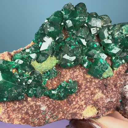 Rare Dioptase Cluster Specimen (Video)