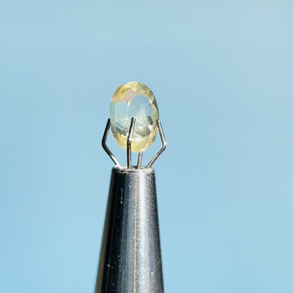 Natural Citrine Faceted Oval-Cut Gemstone in Specimen Box