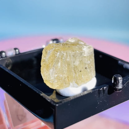 Yellow Scapolite Crystal Specimen in Box