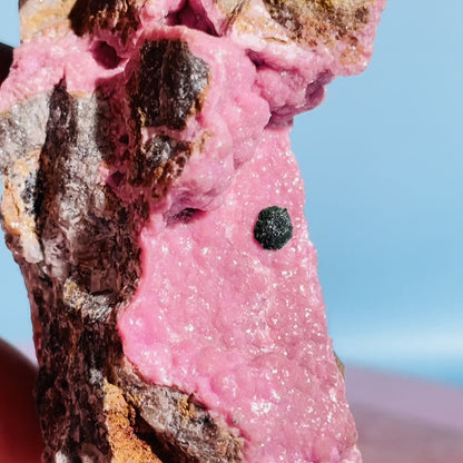 Cobaltocalcite 'Salrose' on Dolomite with Botryoidal Malachite Raw Cluster Small Specimen (Video)