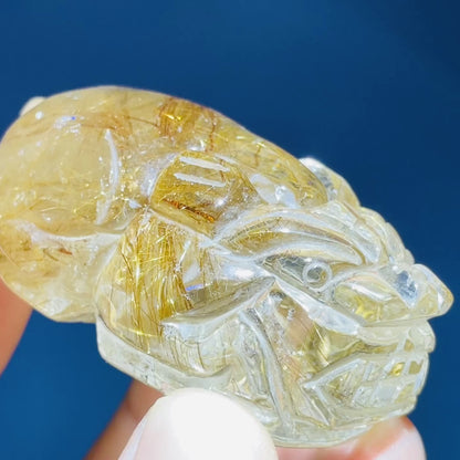AAA Grade Gold Rutilated Quartz 'Pixiu' Dragon Frog Medium Carving (Video)