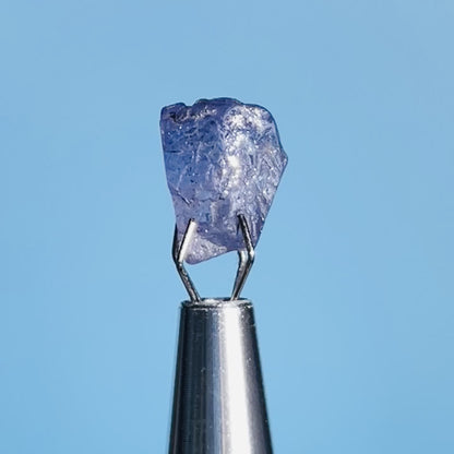 Tanzanite Mini Crystal in Specimen Pottle (Video)