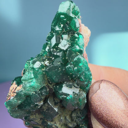 Rare Dioptase Cluster Specimen (Video)