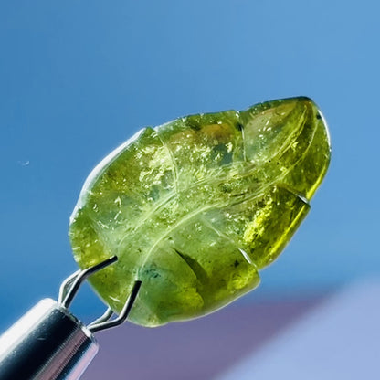 High Grade Green Verdilite Tourmaline Leaf Mini Carving in Specimen Pottle (Video)