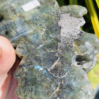 Labradorite Mushroom Troop Large Carving