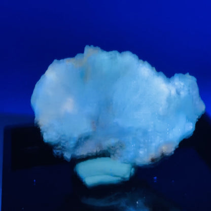 Gypsum + UV Phosphorescent Aragonite Small Specimen in Box (Video)