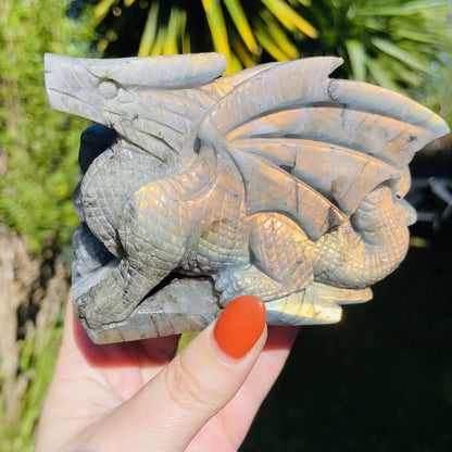 Sunset Orange Labradorite Flying Dragon Medium Carving (Video)