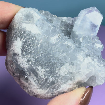 Celestite Small Cluster Geode