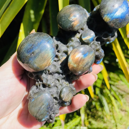 Labradorite Mushroom Troop Large Carving