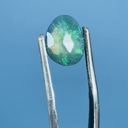 AAA Rosecut Ethiopian Black 'Fire' Welo Opal Polished Mini Crystal in Specimen Pottle (Video)