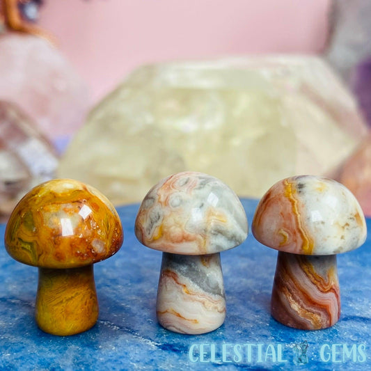 Crazy Lace Agate Mushroom Mini Carving