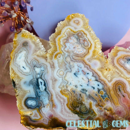 High Quality Pastel Rainbow Crazy Lace Agate Large Slice (Crystal Druzy Border!)