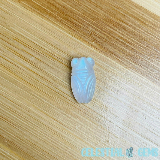 High Quality White Moonstone Cicada Bug Mini Carving (Blue Flash!)